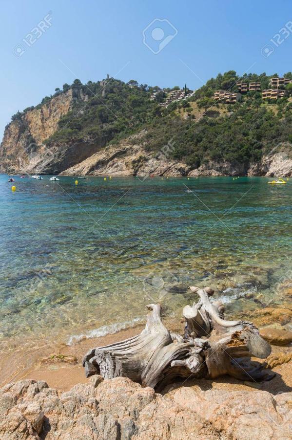 Villa Neptuno Tossa de Mar Extérieur photo